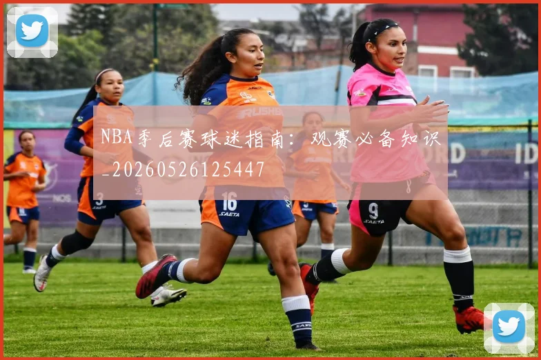 NBA季后赛球迷指南：观赛必备知识_20260526125447